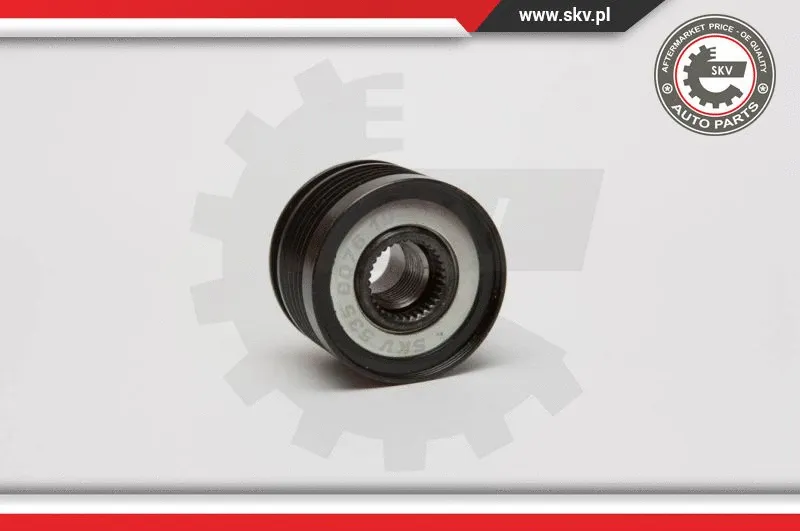 Alternator Freewheel Clutch