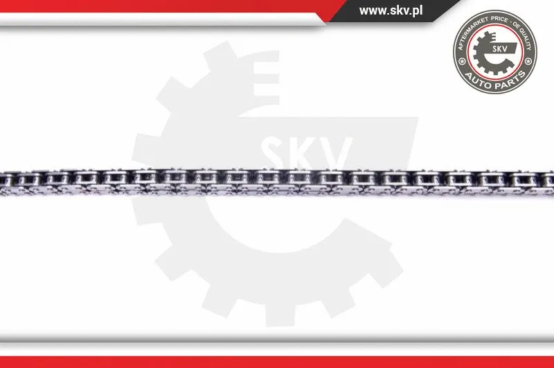 Timing Chain Kit