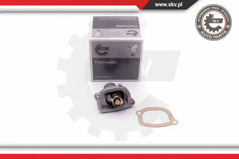 Thermostat, coolant (20SKV054)