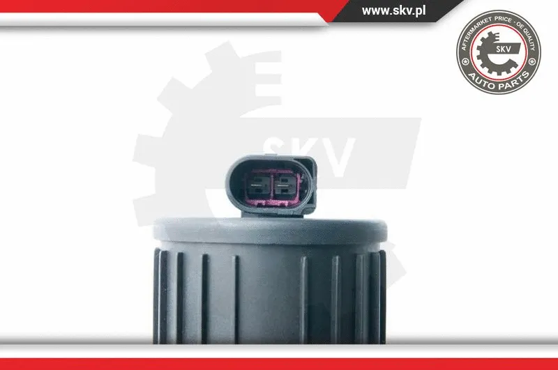 Secondary Air Pump