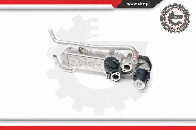 EGR Valve