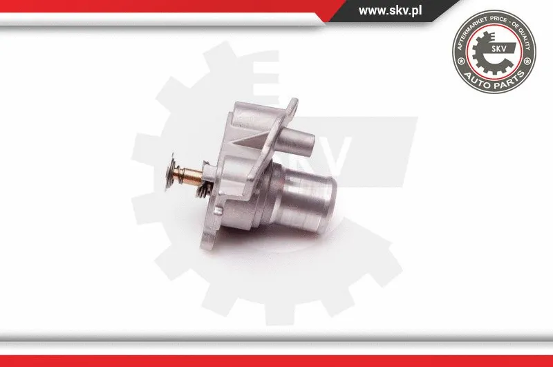 Thermostat, coolant
