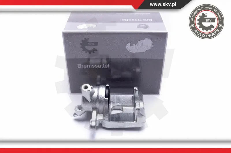 Brake Caliper (55SKV363)