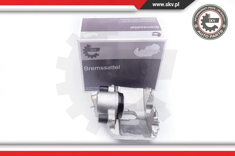 Brake Caliper (23SKV116)