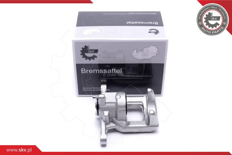 Brake Caliper (44SKV473)