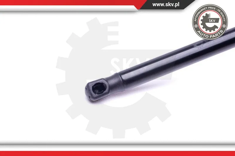 Gas Spring, boot/cargo area