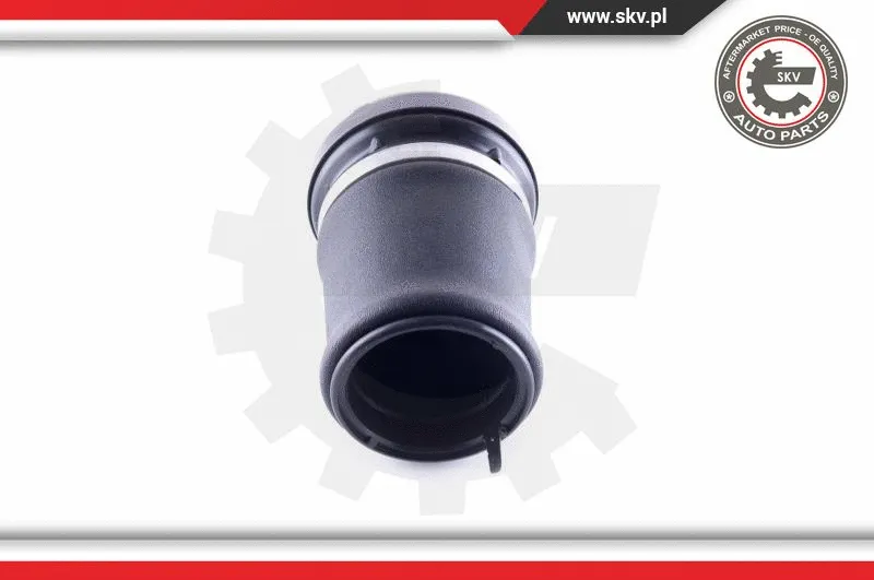 Air Spring, suspension