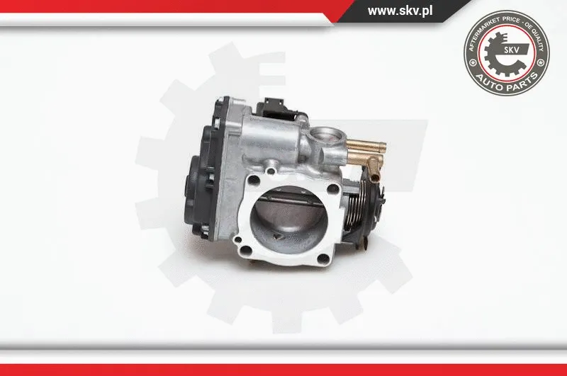 Throttle Body (12SKV009)