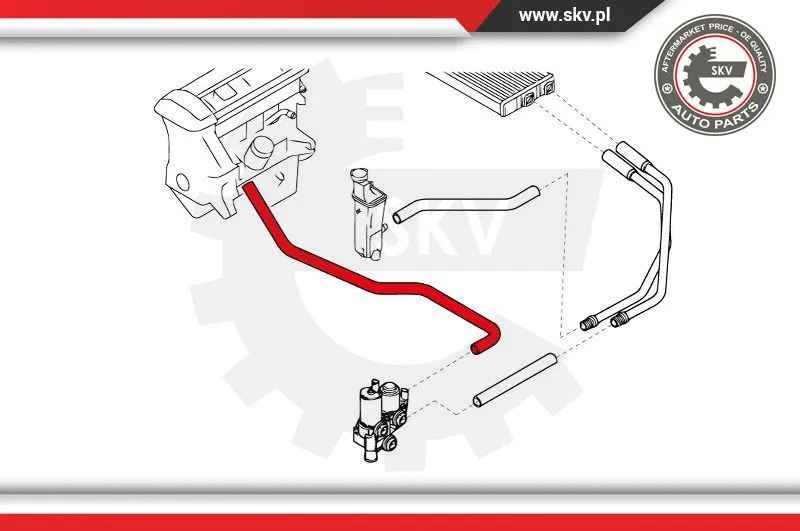 Radiator Hose