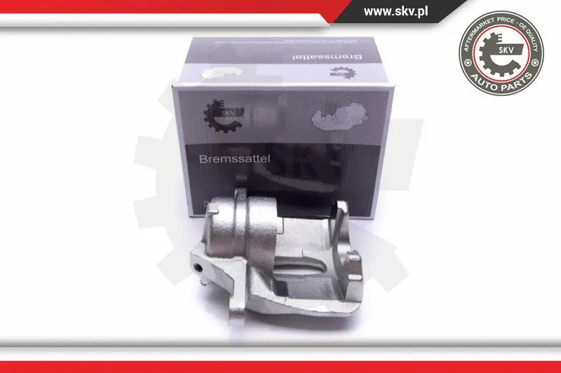 Brake Caliper (55SKV711)