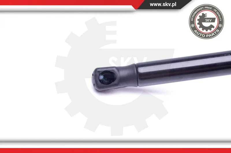 Gas Spring, boot/cargo area
