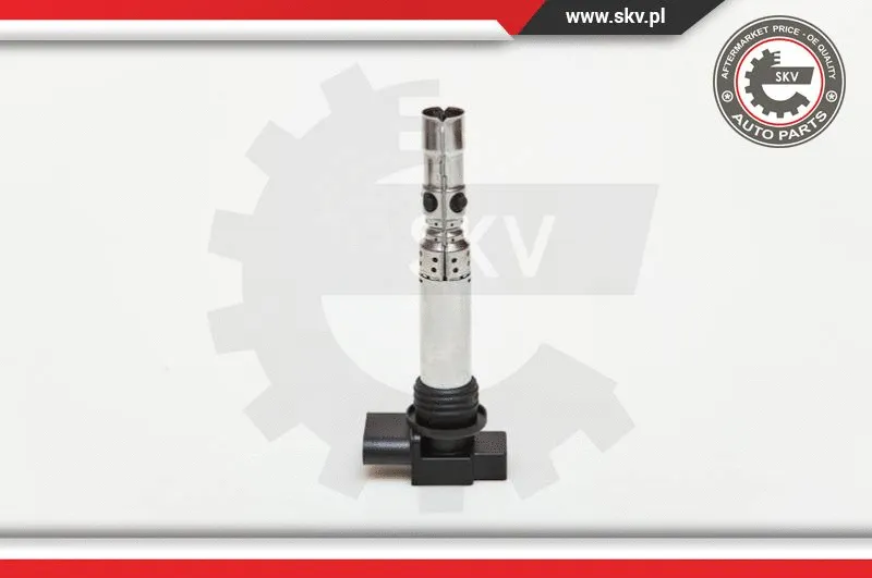 Ignition Coil (03SKV107)