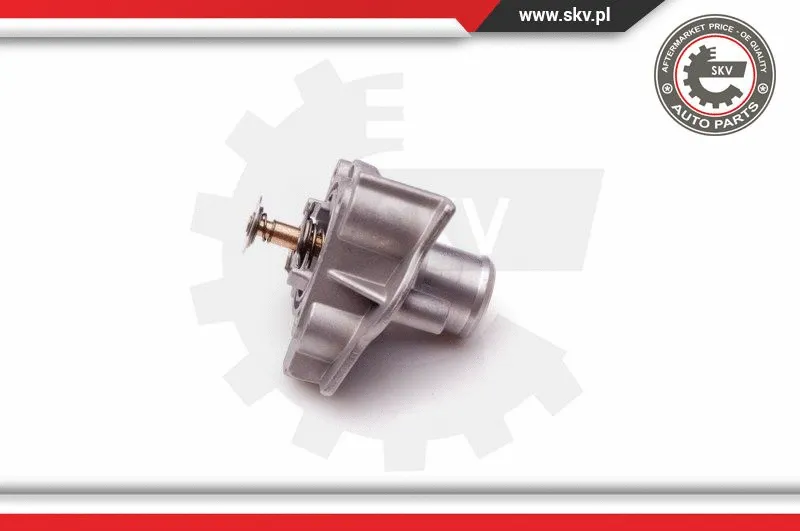 Thermostat, coolant