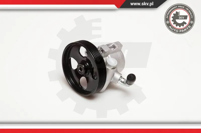 Hydraulic Pump, steering (10SKV031)