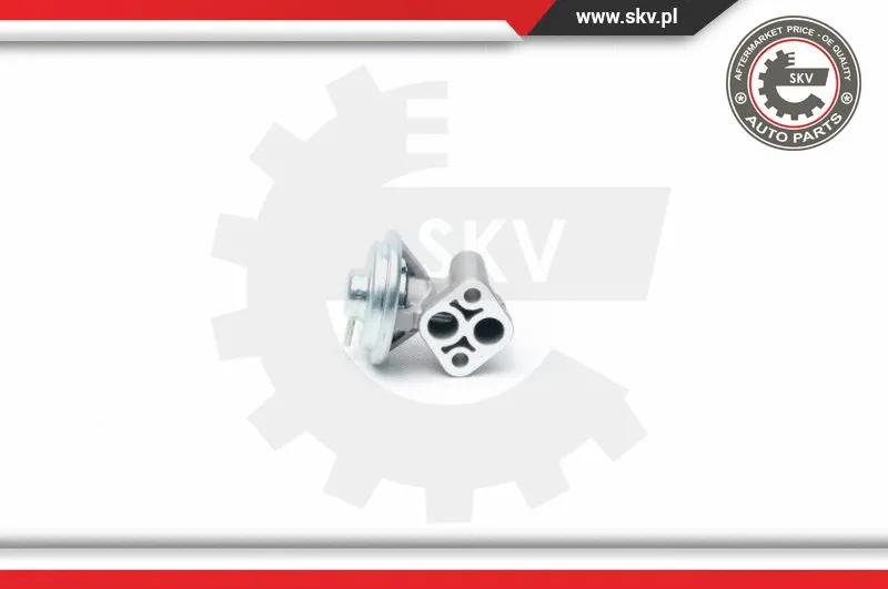 EGR Valve (14SKV104)