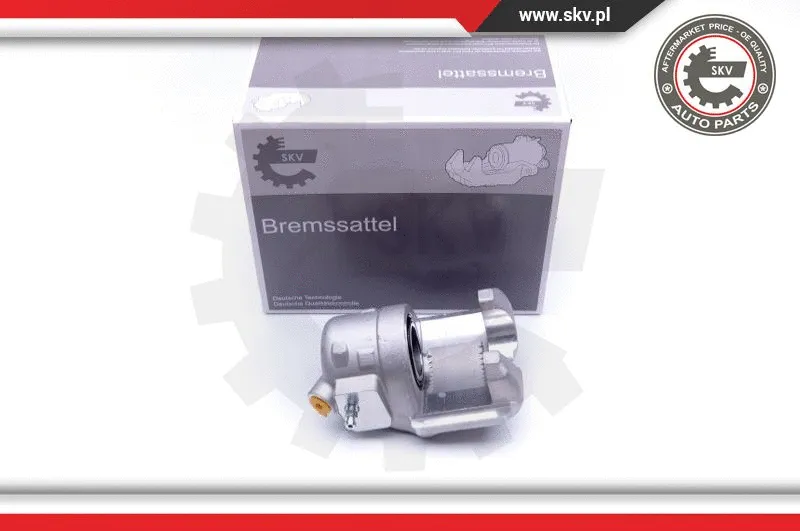 Brake Caliper (42SKV671)