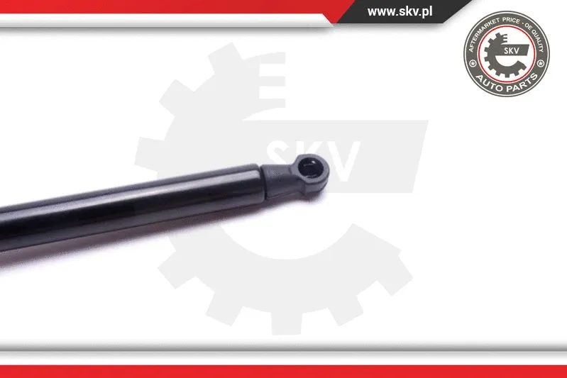 Gas Spring, bonnet