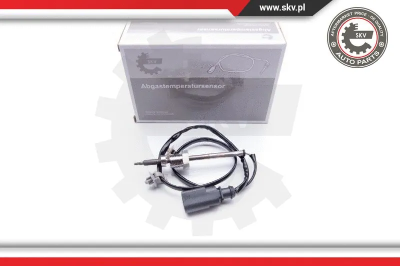 Sensor, exhaust gas temperature (30SKV053)