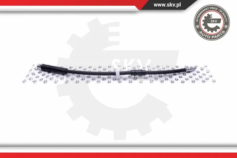Brake Hose (35SKV136)