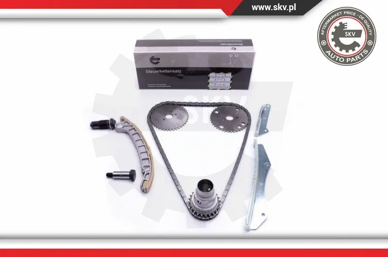 Timing Chain Kit (21SKV142)