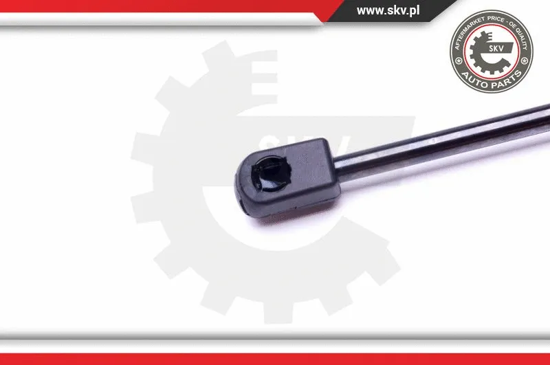 Gas Spring, boot/cargo area