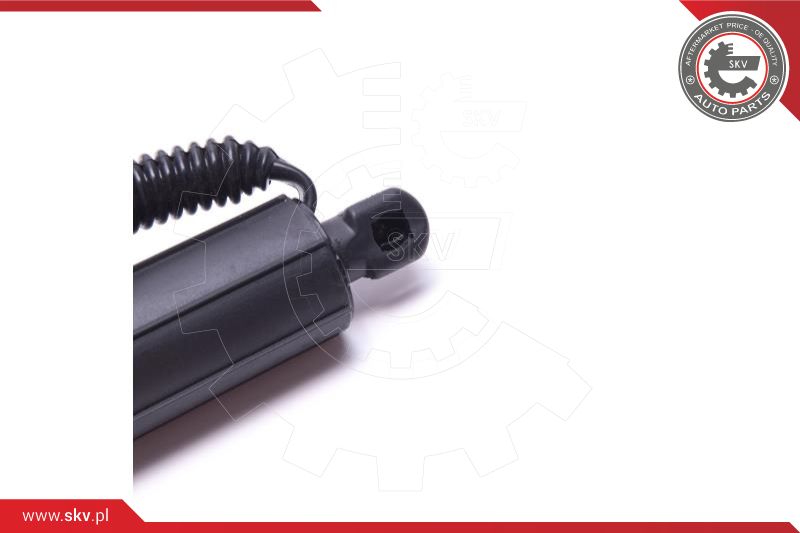 Electric Motor, tailgate