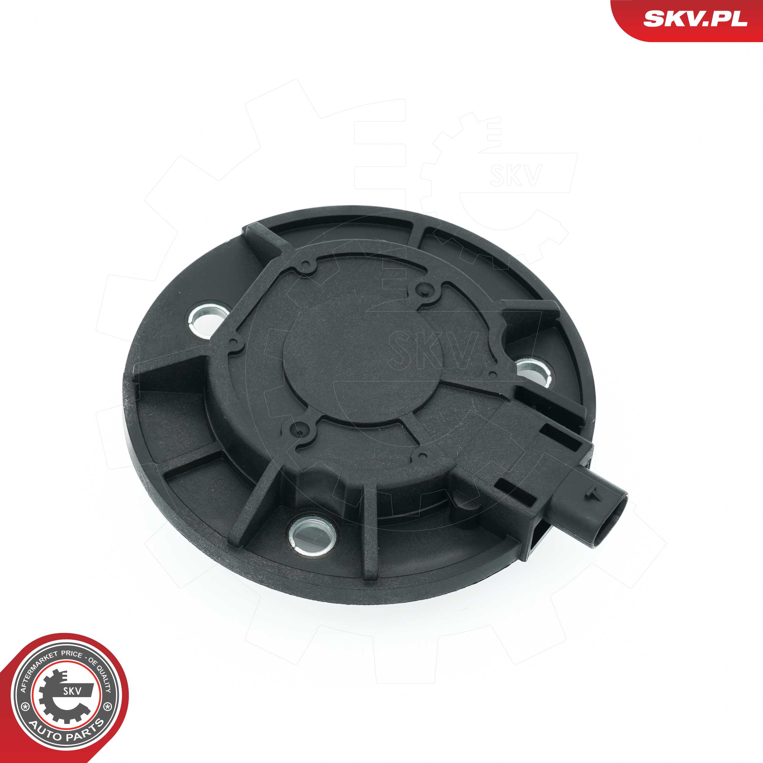 Central Magnet, camshaft adjustment