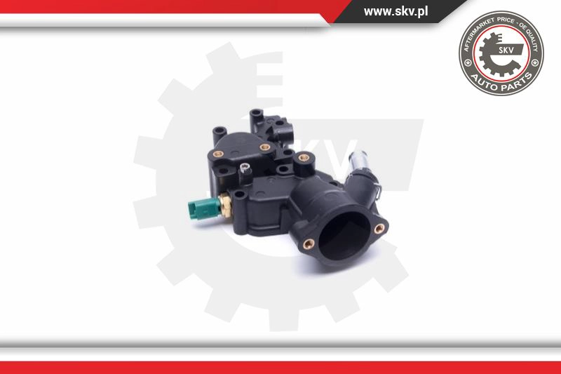 Thermostat, coolant