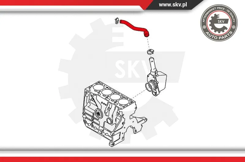 Hose, crankcase ventilation