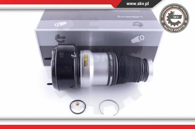 Air Spring, suspension (58SKV038)