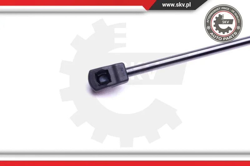 Gas Spring, boot/cargo area