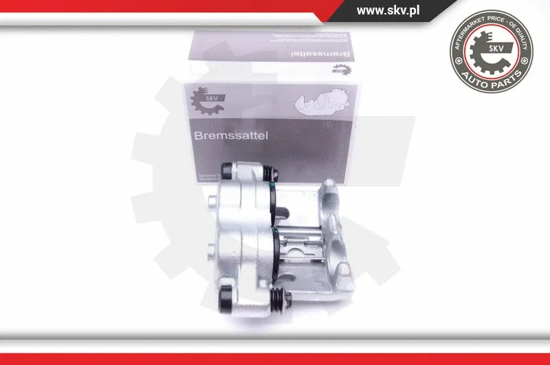 Brake Caliper (44SKV044)