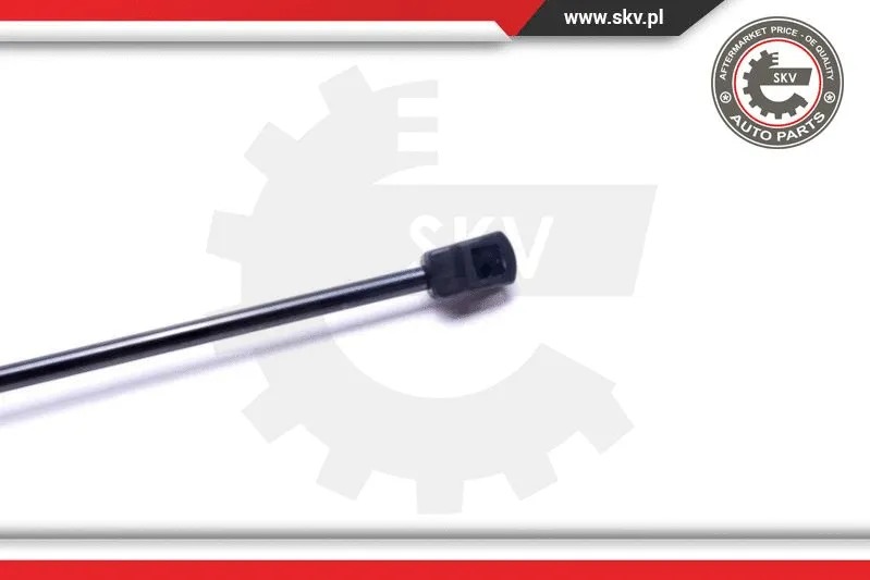 Gas Spring, boot/cargo area