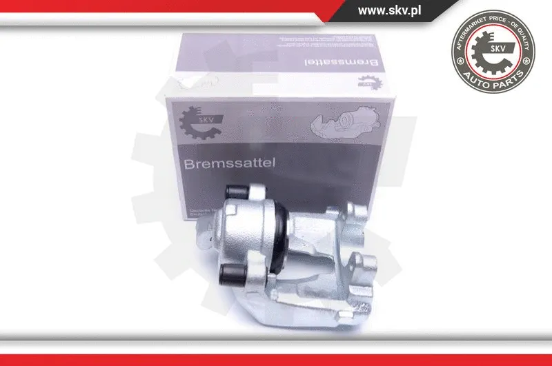 Brake Caliper (44SKV472)