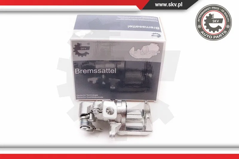 Brake Caliper (23SKV913)