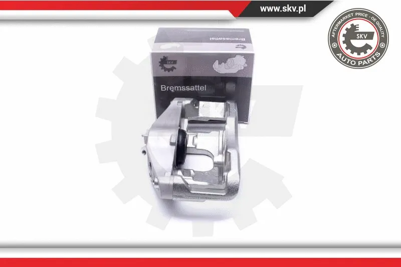Brake Caliper (55SKV622)