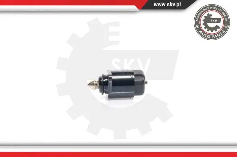 Idle Control Valve, air supply (08SKV005)