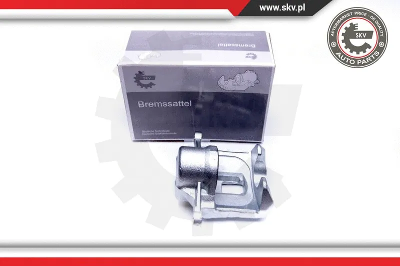 Brake Caliper (45SKV172)