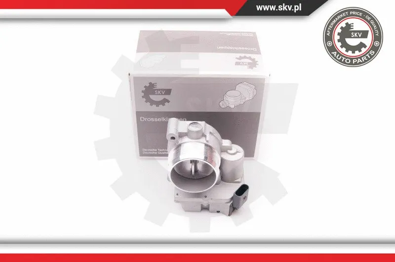 Throttle Body (12SKV056)
