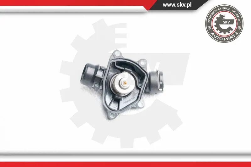 Thermostat, coolant