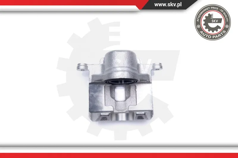 Brake Caliper (44SKV992)