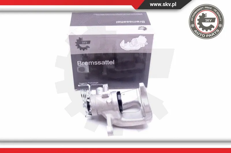 Brake Caliper (42SKV523)