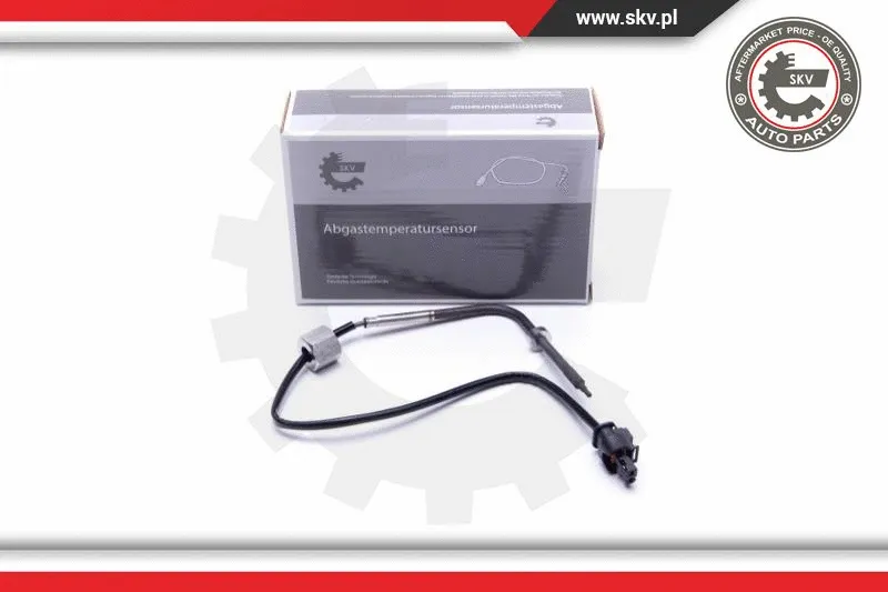 Sensor, exhaust gas temperature (30SKV403)