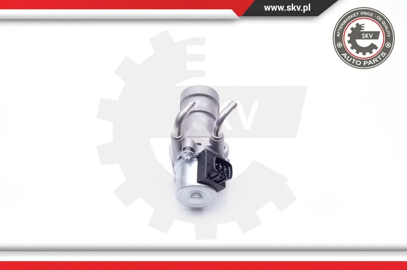 EGR Valve