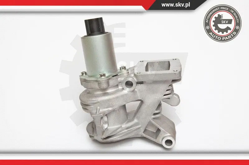 EGR Valve