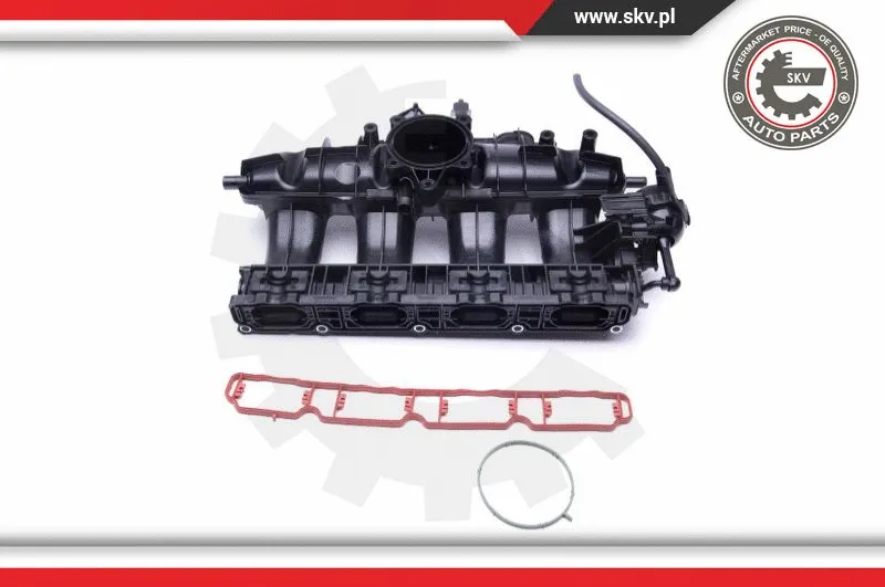 Intake Manifold Module