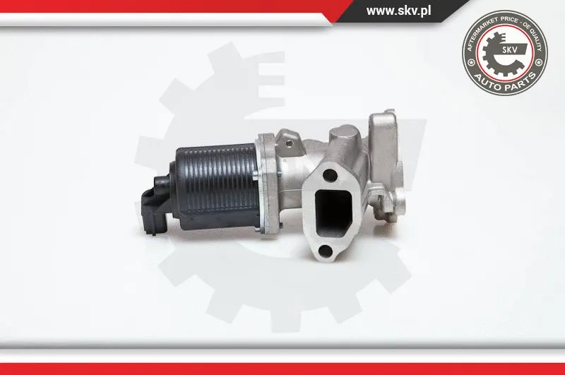 EGR Valve (14SKV014)