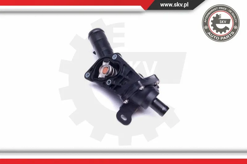 Thermostat, coolant