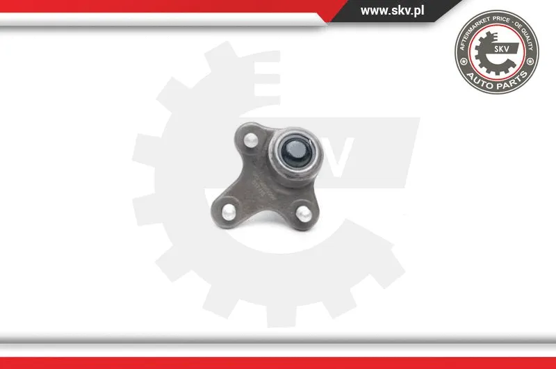 Ball Joint (04SKV284)