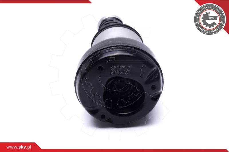 Air Suspension Strut